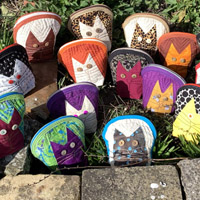 cccatslink